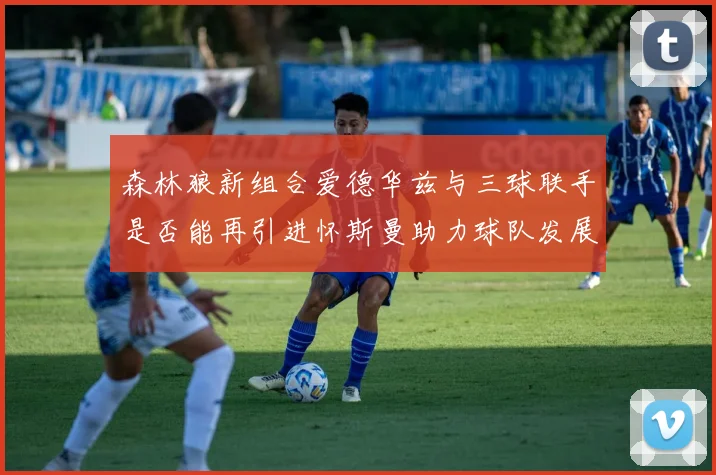 森林狼新组合爱德华兹与三球联手是否能再引进怀斯曼助力球队发展